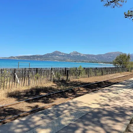 Avec Grande Terrasse * Calvi (Corsica)